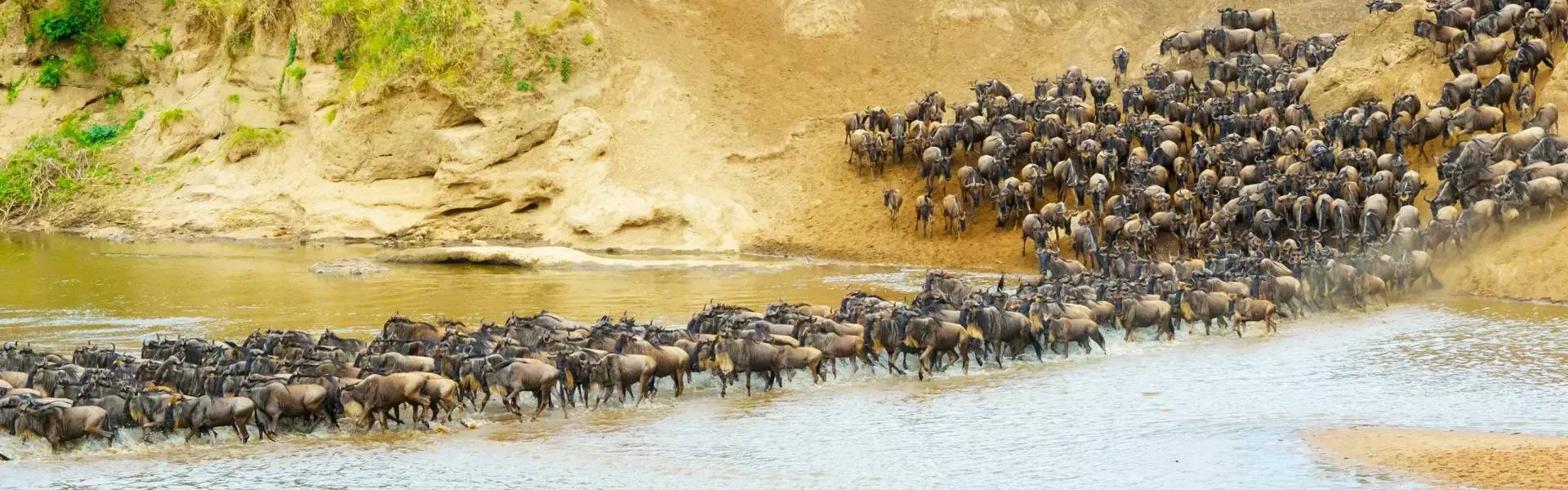 Serengeti National Park