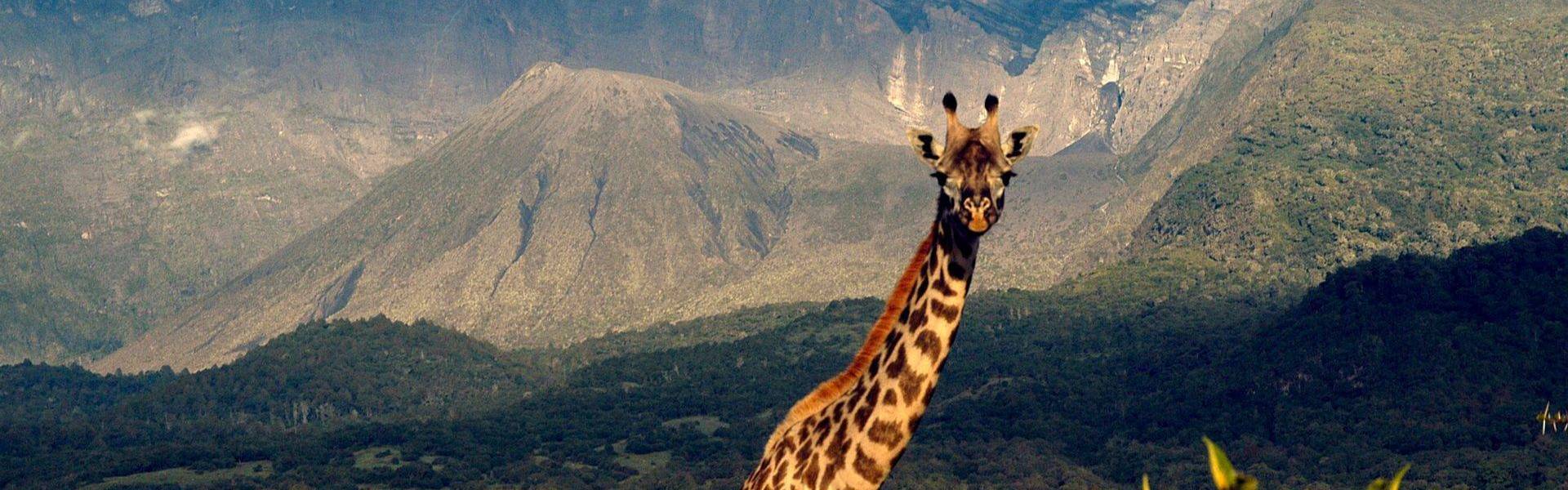 Arusha National Park