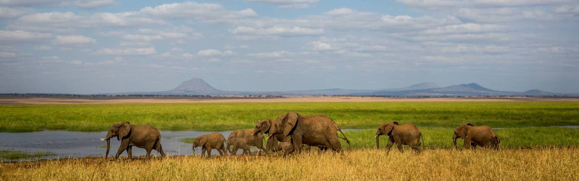 Tarangire National Park