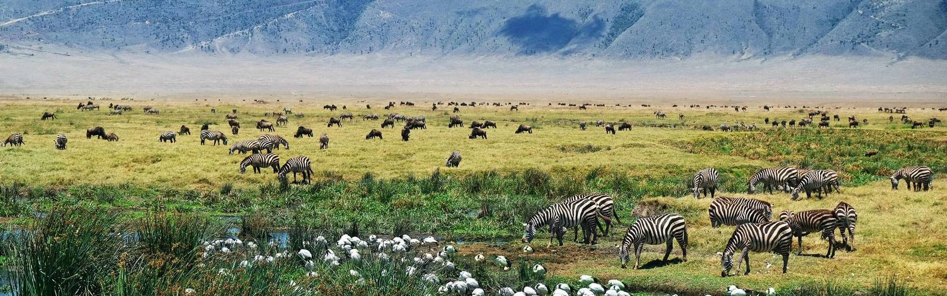 Ngorongoro Conservation