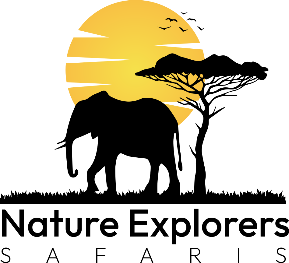 Nature Explorers Safaris