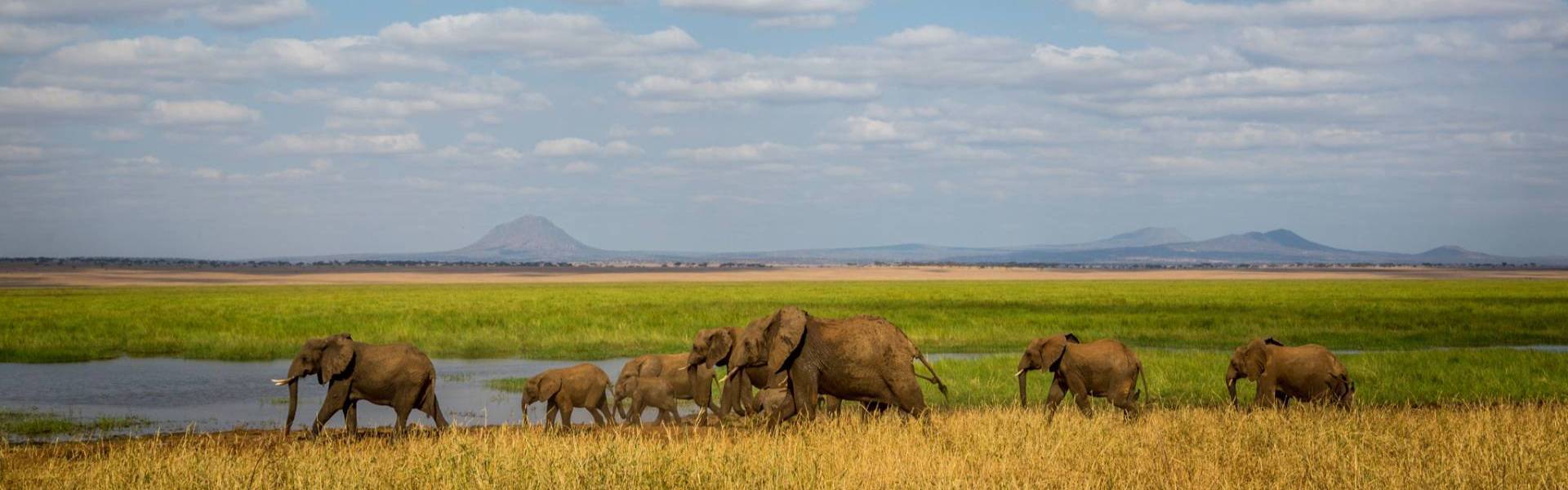 8 Days Standard Safari