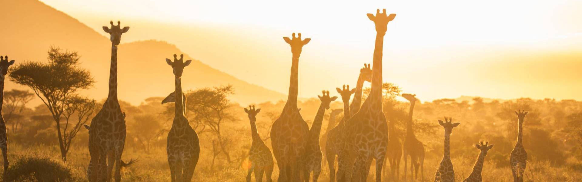4 Days Budget Safari