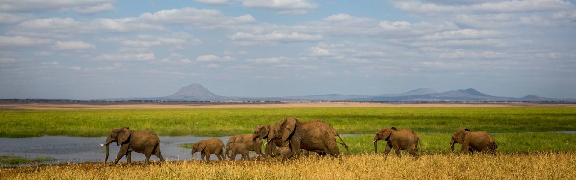 7 Days Standard Safari